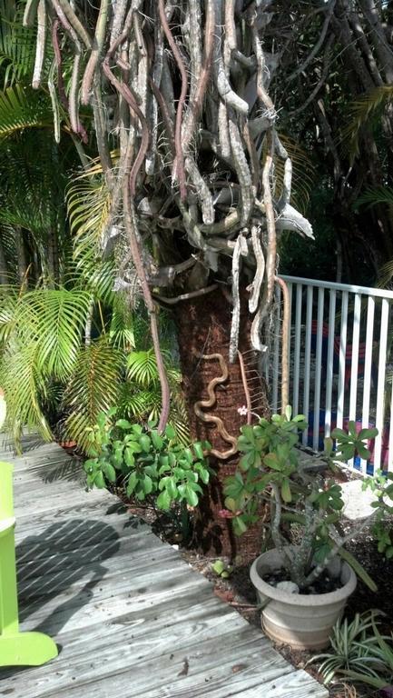 Sunshine Island Inn - Adults Only Sanibel Exterior photo